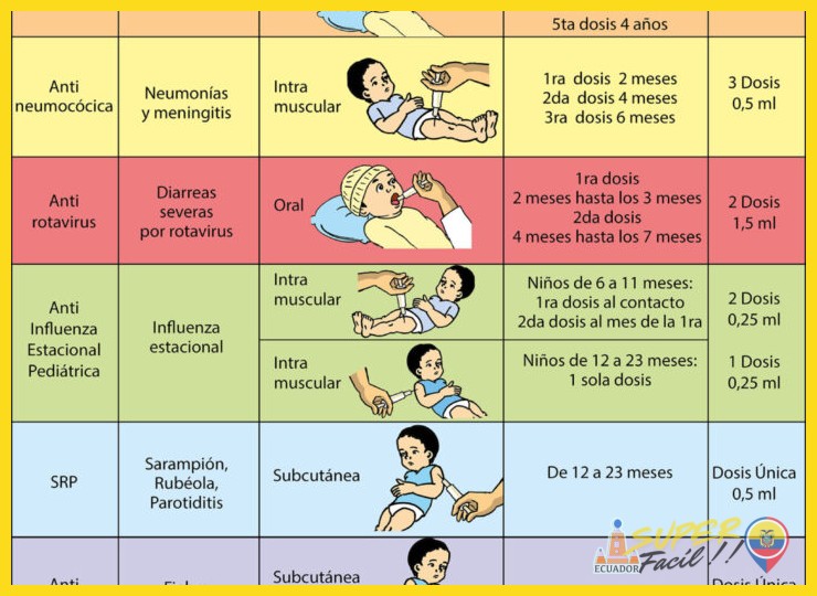 5. Planificación y Cronograma de Vacunación