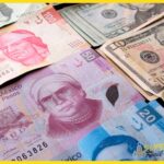 Cambio de divisas y uso de efectivo en el país - Cambio de divisas