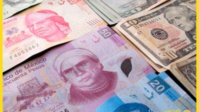 Cambio de divisas y uso de efectivo en el país - Cambio de divisas