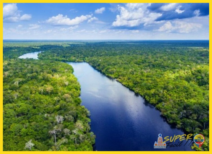 ¿Cómo se distribuye y caracteriza la biodiversidad en la vasta región amazónica, más allá de sus fronteras políticas?