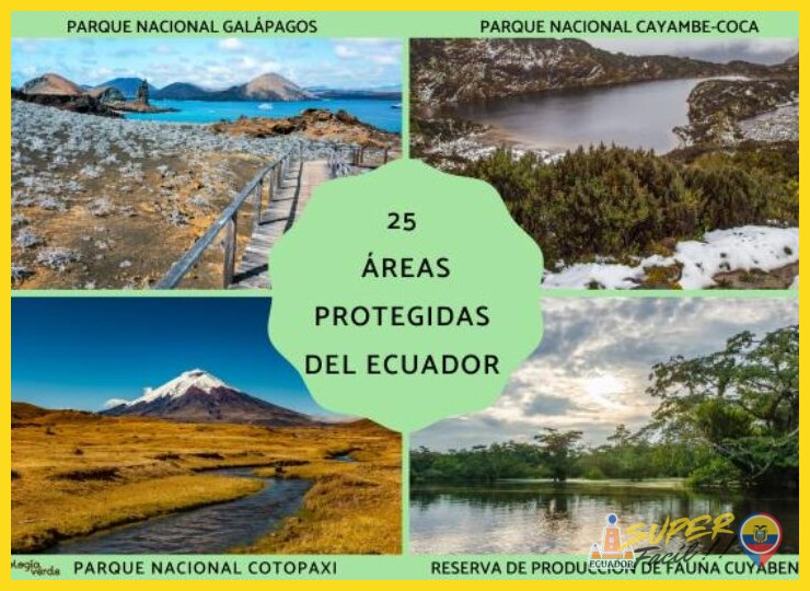 ¿Cuál es el estado de conservación y el régimen de protección legal que ampara a la Reserva Ecológica Antisana?
