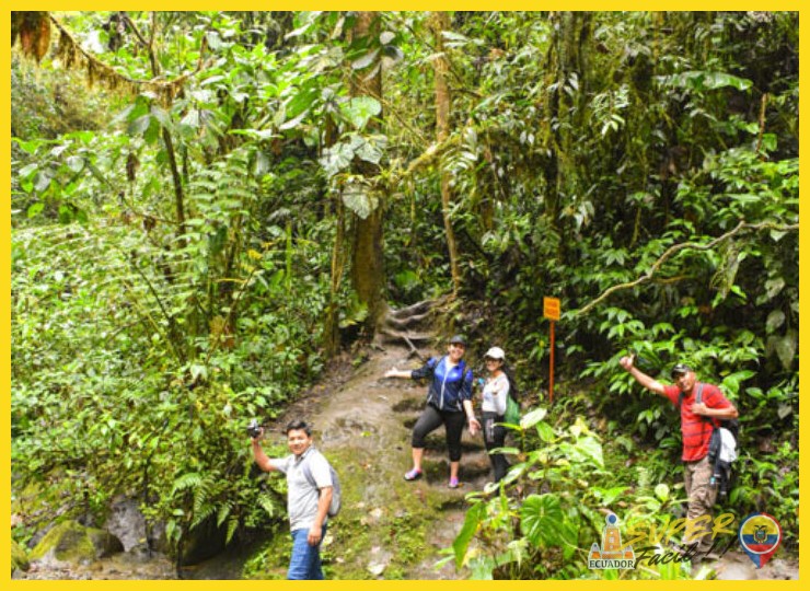 ¿Cuáles son las principales actividades ecoturísticas que ofrece Mindo?