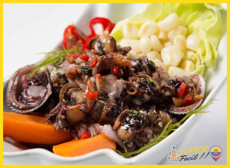 ¿Cuáles son los ingredientes tradicionales y el proceso de preparación del ceviche de concha negra, considerado un tesoro culinario del Pacífico?