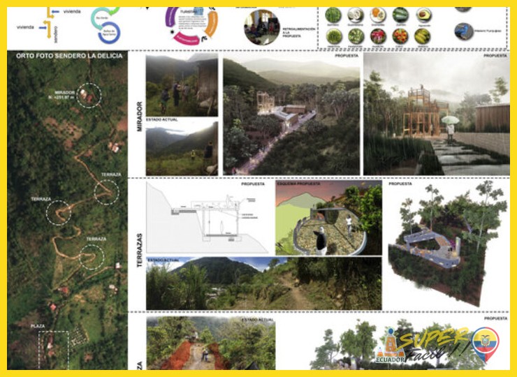 Diseño y accesibilidad: que todos puedan leer el paisaje
