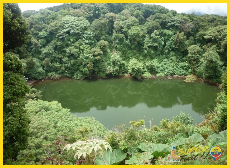 ¿En qué regiones o ecosistemas específicos de Costa Rica, ahora transformados, tenían su territorio histórico las poblaciones de tapires y jaguares?