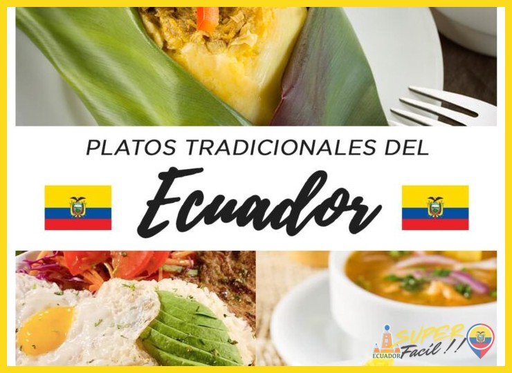 ¿Existen variaciones regionales de este plato dentro del país?