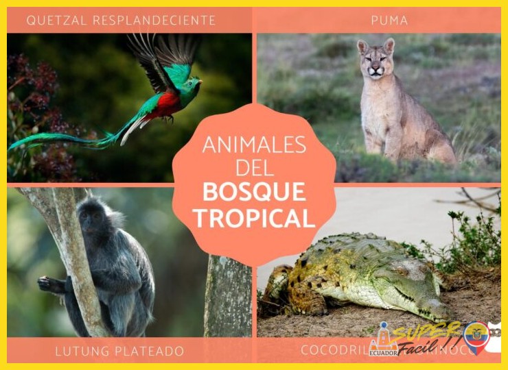 Fauna especialista: los habitantes del bosque árido