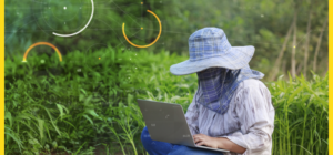 Internet y conectividad en zonas rurales y de montaña - Internet y conectividad