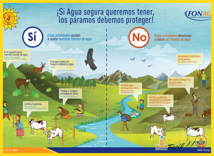 La función vital: los páramos como fábricas de agua