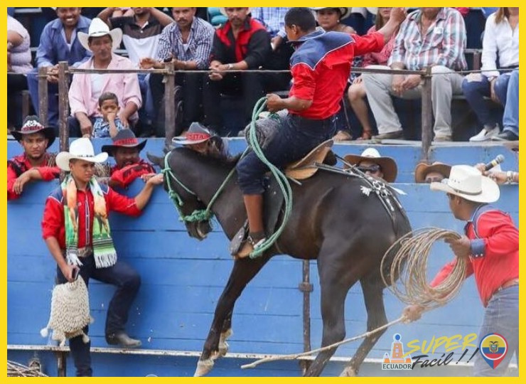 Las Pruebas de Destreza: El Corazón de la Competencia