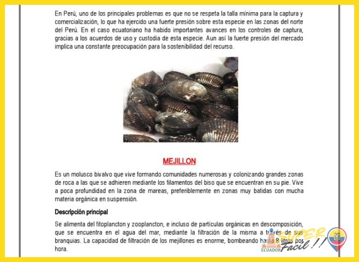 Origen y Hábitat: El Ecosistema del Manglar