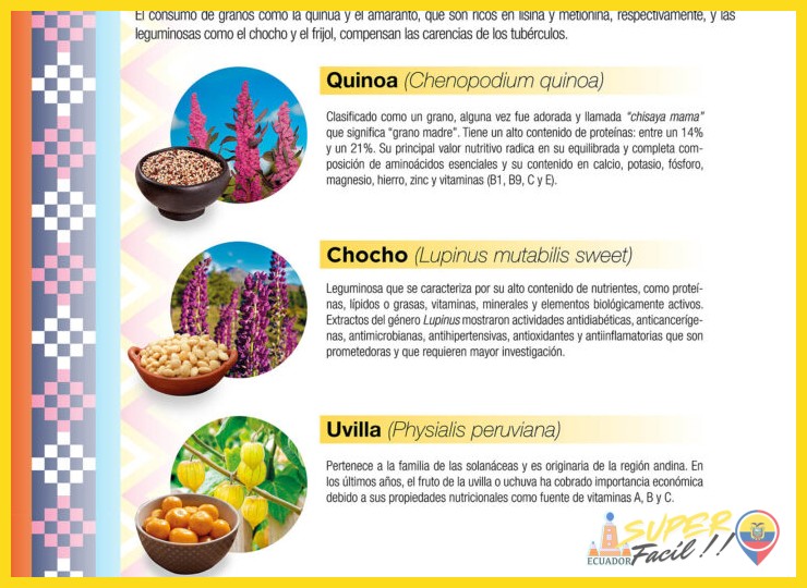 ¿Qué características definen al cuy andino como especie y como ingrediente culinario fundamental?