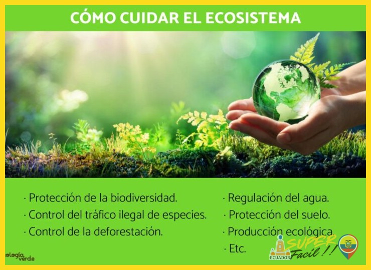 ¿Qué recomendaciones esenciales debe seguir un visitante para preservar este ecosistema?