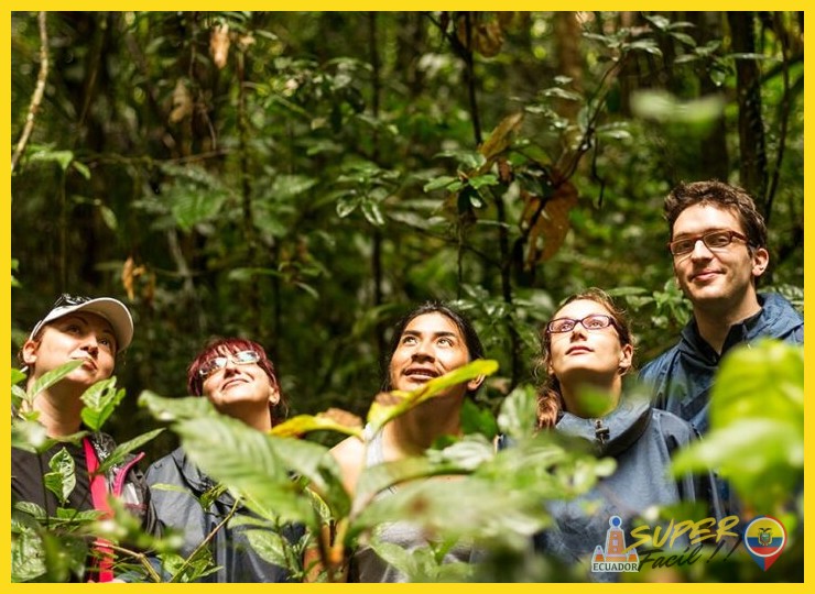 ¿Qué se puede experimentar en un viaje responsable a la Amazonía?