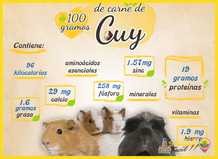 ¿Qué valor nutricional tiene la carne de cuy?