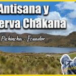 Reserva del Antísana donde los cóndores aún vuelan libres - Reserva del Antísana