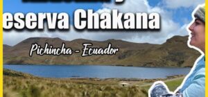 Reserva del Antísana donde los cóndores aún vuelan libres - Reserva del Antísana