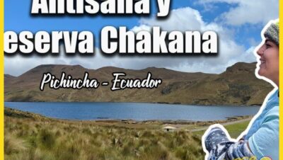 Reserva del Antísana donde los cóndores aún vuelan libres - Reserva del Antísana